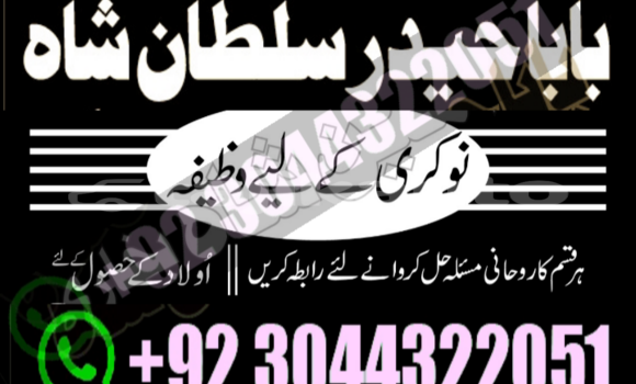 Buy Used Alpina B4 Brown Car in Ayni in Sughd