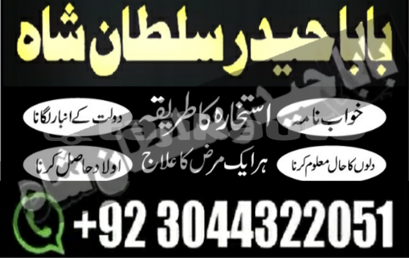 Big with watermark alpina b5 sughd ayni 9035