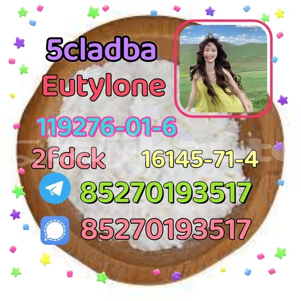 Big with watermark 1 24 