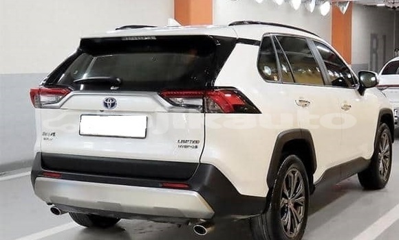 Buy Used Toyota RAV4 White Car in Dushanbe in Dushanbe Buy Used Toyota RAV4 White Car in Dushanbe in Dushanbe