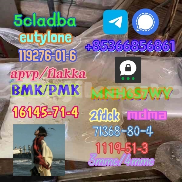 Big with watermark 1 221 