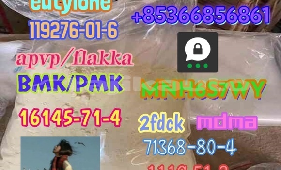 Medium with watermark 1 221 