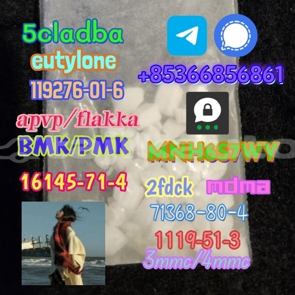 Big with watermark 1 229