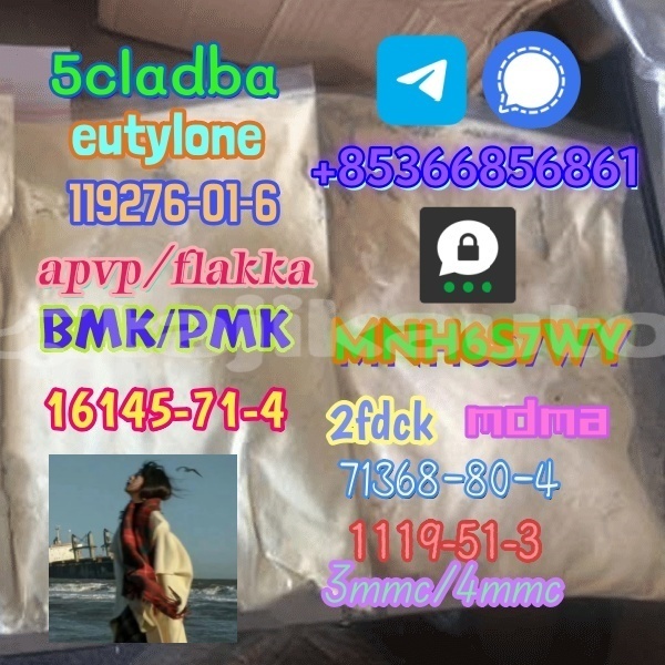 Big with watermark 1 227