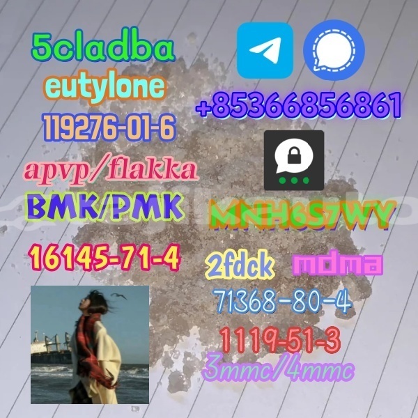 Big with watermark 1 230 