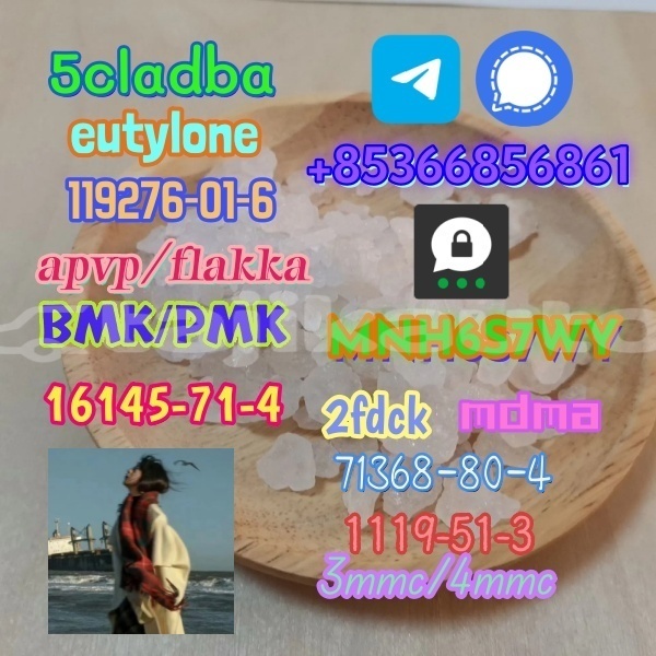 Big with watermark 1 231 