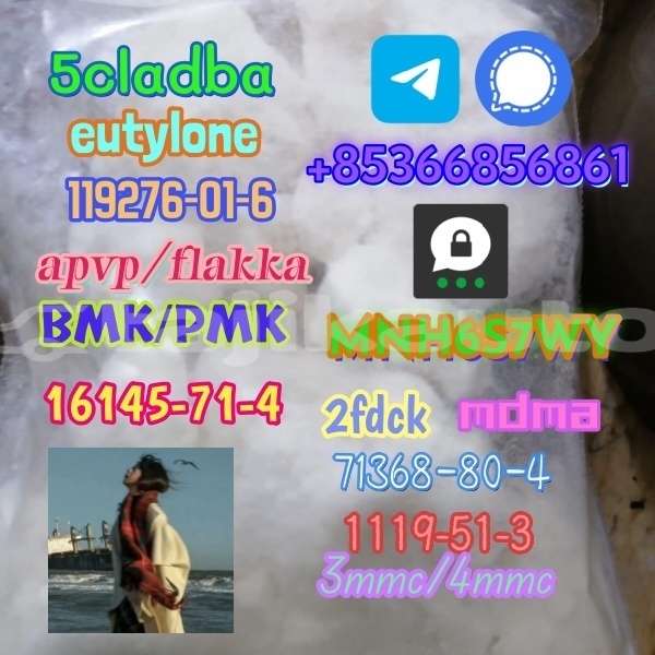 Big with watermark 1 233 