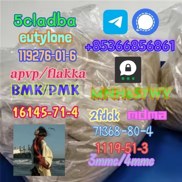 Big with watermark 1 237 