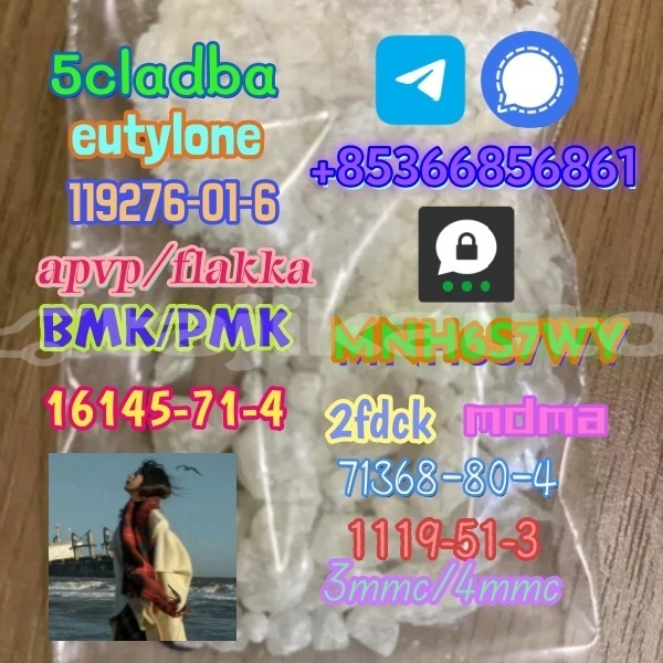 Big with watermark 1 238 