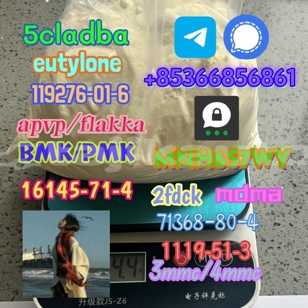 Big with watermark 1 239 