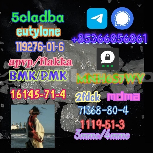 Big with watermark 1 242 