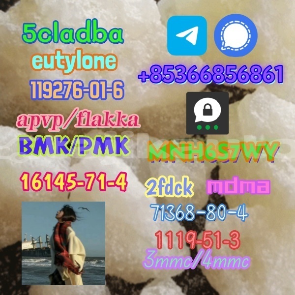 Big with watermark 1 243 