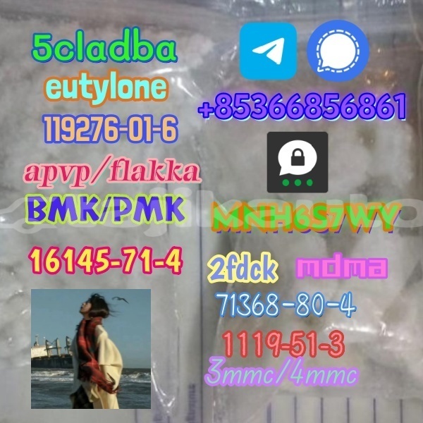 Big with watermark 1 244 