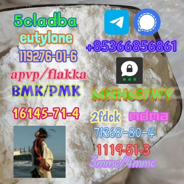 Big with watermark 1 245 