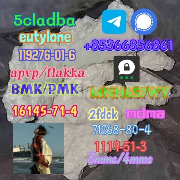 Big with watermark 1 246 