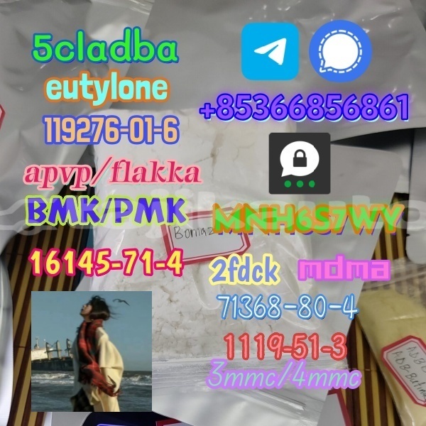 Big with watermark 1 248 