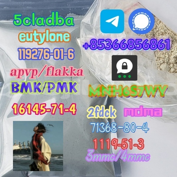 Big with watermark 1 249 