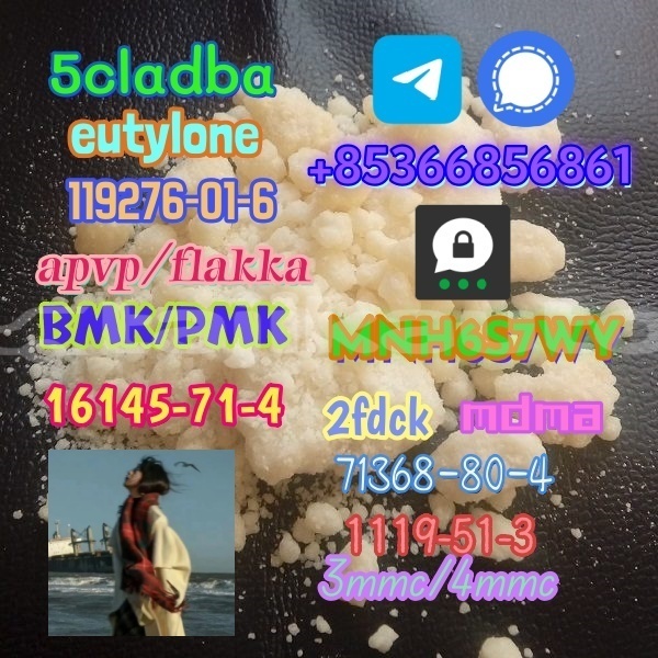 Big with watermark 1 250 