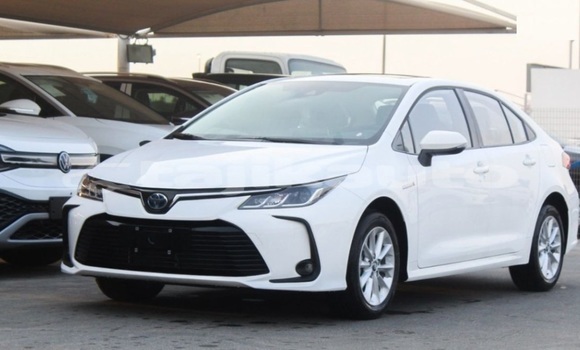 Buy Used Toyota Corolla White Car in Buston in Sughd