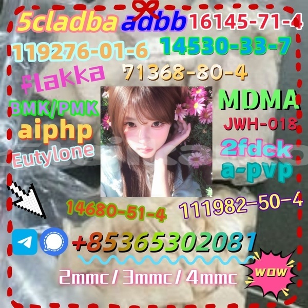 Big with watermark photo 6192803247366981096 x