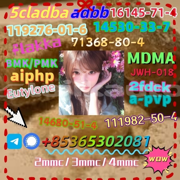 Big with watermark images 11 