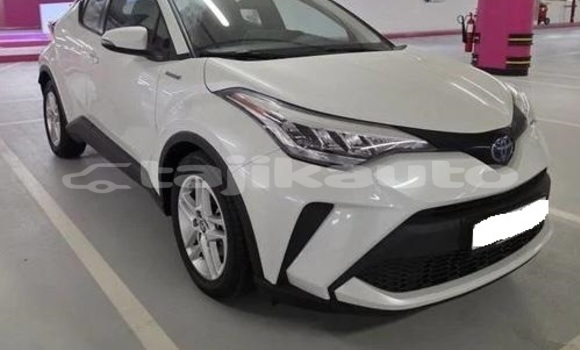 Buy Used Toyota C-HR White Car in Buston in Sughd