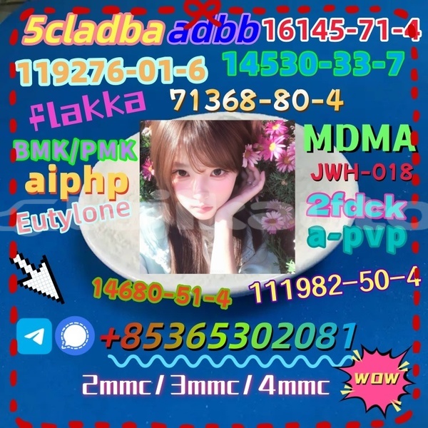 Big with watermark 1 4 