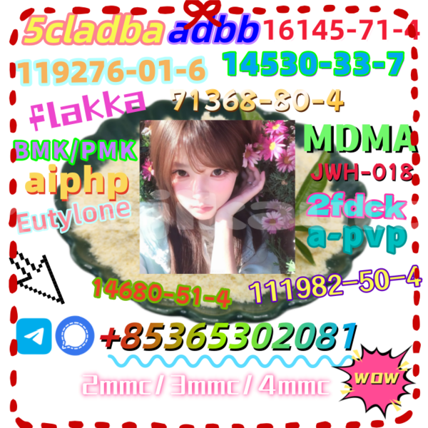 Big with watermark 12