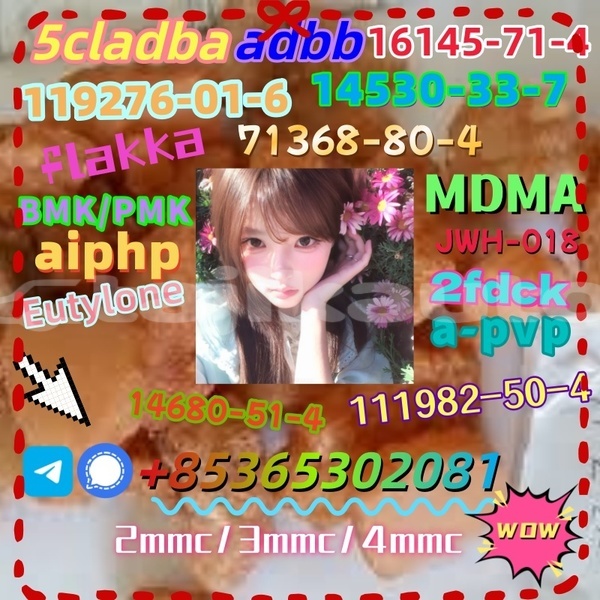 Big with watermark images 10 