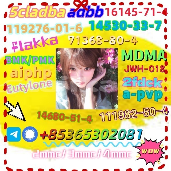 Big with watermark 1 16 