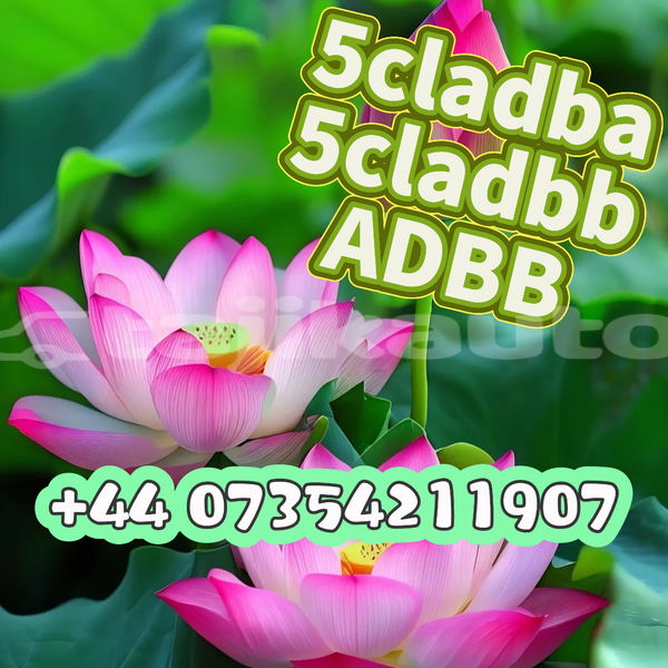 Big with watermark 4492b53ce874ff2120624bc61d41157f