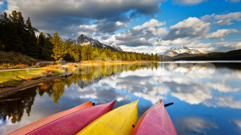 Big with watermark 134162976918704008