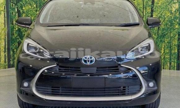 Buy Used Toyota Aqua Black Car in Dushanbe in Dushanbe Buy Used Toyota Aqua Black Car in Dushanbe in Dushanbe