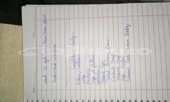 Medium with watermark media