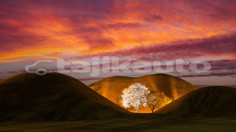 Big with watermark 134072399377027091 optimized 2000