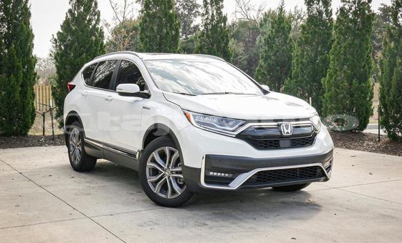 Buy Used Honda CR–V White Car in Buston in Sughd