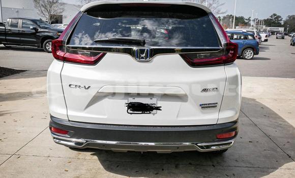 Buy Used Honda CR–V White Car in Buston in Sughd Buy Used Honda CR–V White Car in Buston in Sughd