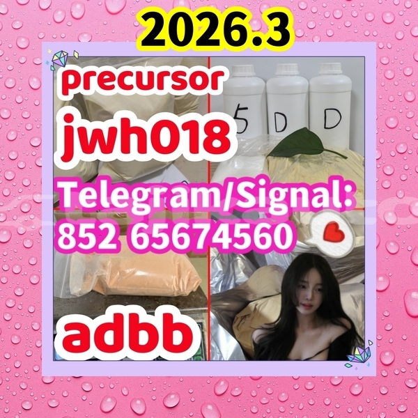 Big with watermark precursoradbb %e5%89%af%e6%9c%ac