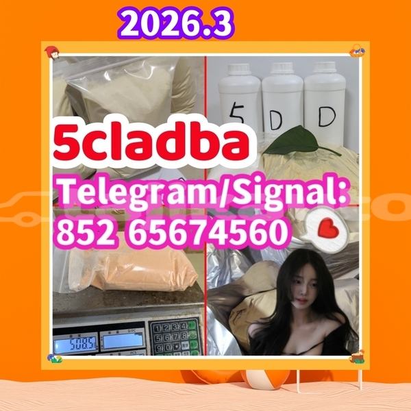 Big with watermark 5cladba11 %e5%89%af%e6%9c%ac