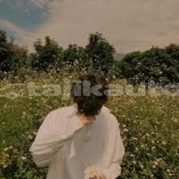 Big with watermark adler trumpf junior sughd ayni 10300