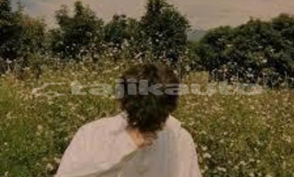 Buy Used Alpina B3 Red Car in Buston in Sughd