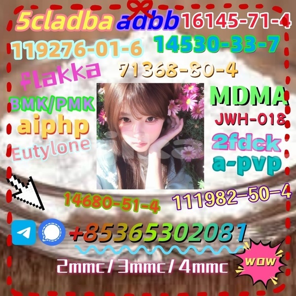 Big with watermark 1 1 