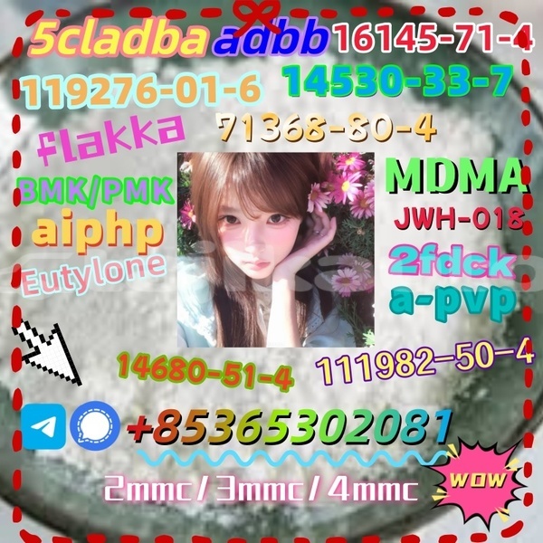 Big with watermark 1 7 