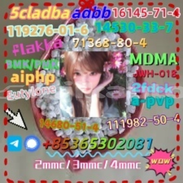 Big with watermark 1 1 