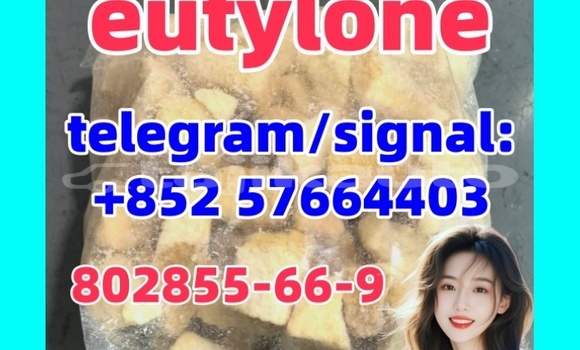 Eutylone 802855-66-9 eu