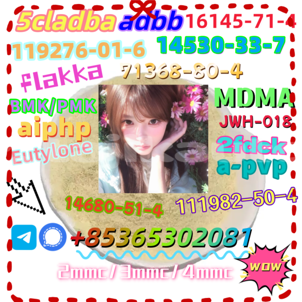 Big with watermark 2