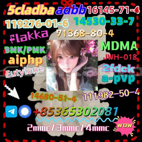 Big with watermark eu1