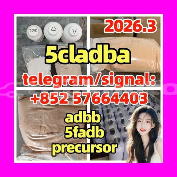 Big with watermark 5c5