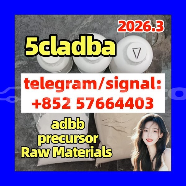 Big with watermark 5cc5