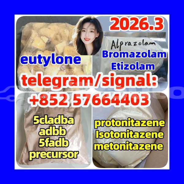 Big with watermark z5